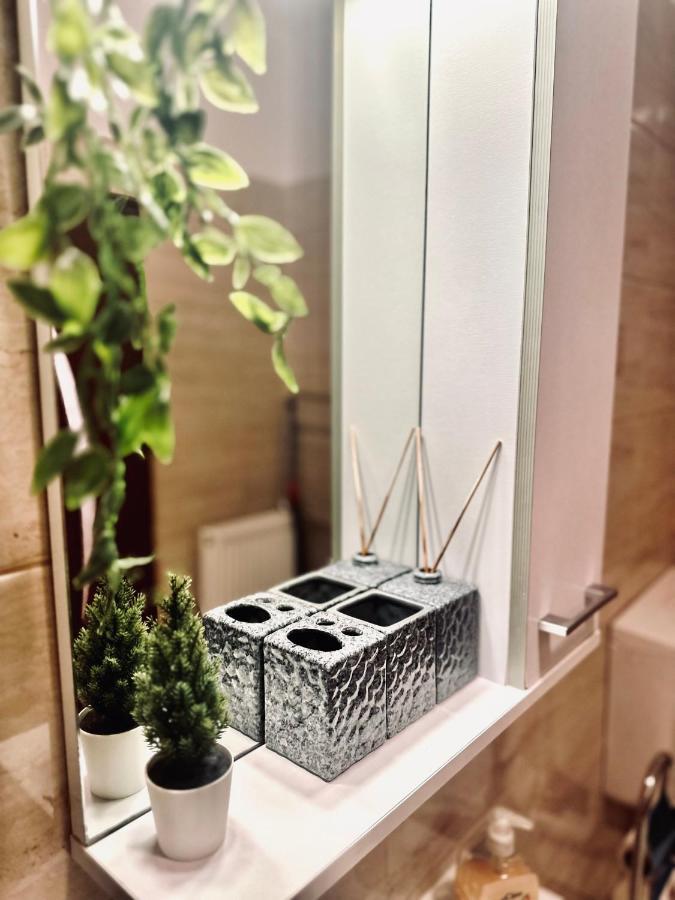 Stay Inn Central Брашов Екстериор снимка